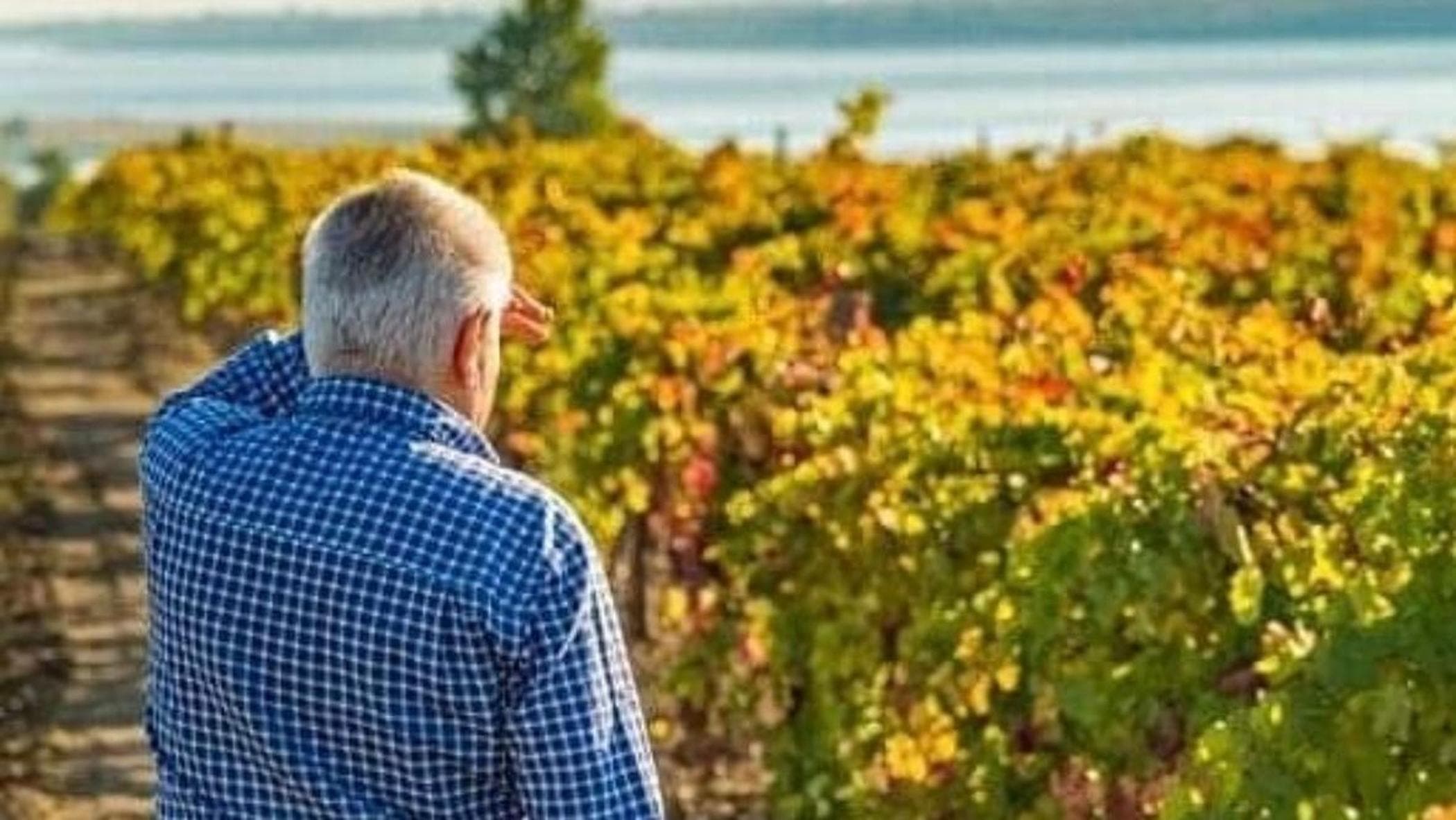 Tintulov, viticoltore nel Sud dellUcraina: Questa mattina lultimo attacco dei droni russi