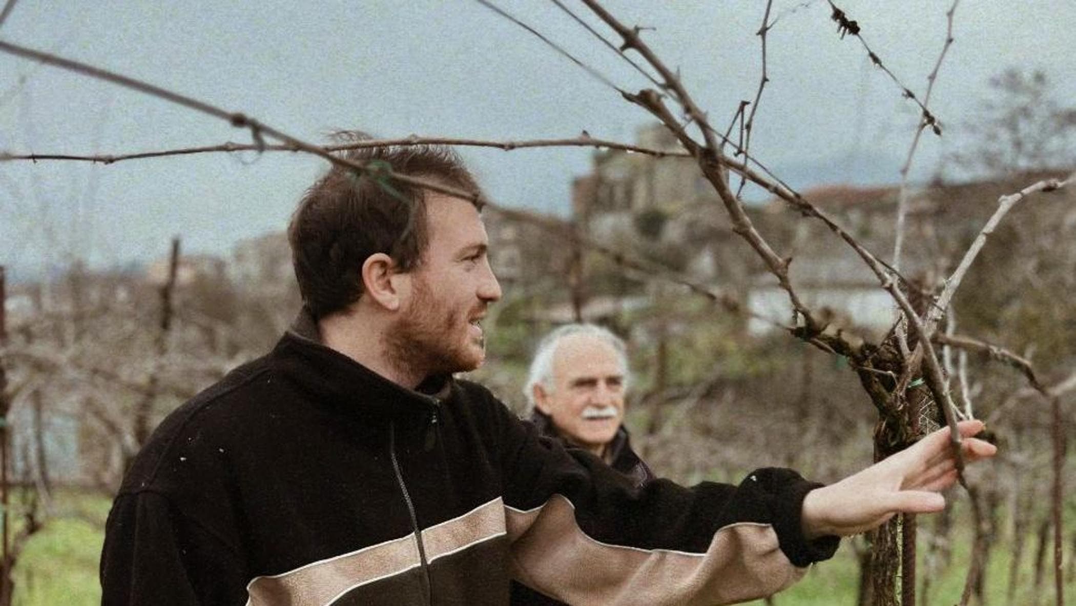 Canestrini, il trentenne enologo che fa rivivere in Campania i vigneti dimenticati
