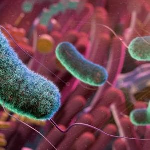 Kateter ve stentlerden kaynaklanan enfeksiyonlar: Antibiyotik olmadan bakterileri %90 oranında azaltan İtalyan keşfi