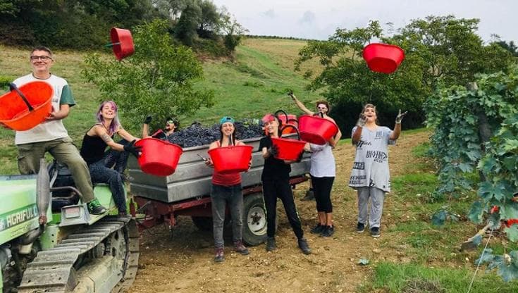 Quella piccola cantina che produce un Chianti classico davvero “bellino”