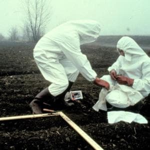 Come sono cambiate protezione e sicurezza a 50 anni da Seveso