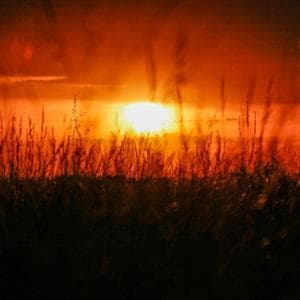 Clima, le ore di calore “killer” sono raddoppiate mettendo a rischio le nostre normali attività