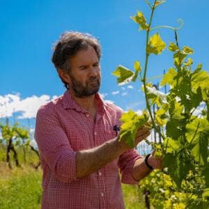 Cappelletti e piadine, il menu di Cracco a Vinitaly: “Il cibo salverà il vino”