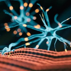 AI ve nöromüsküler hastalıklar: tanıya daha erken ulaşmayı amaçlayan bir Avrupa projesi