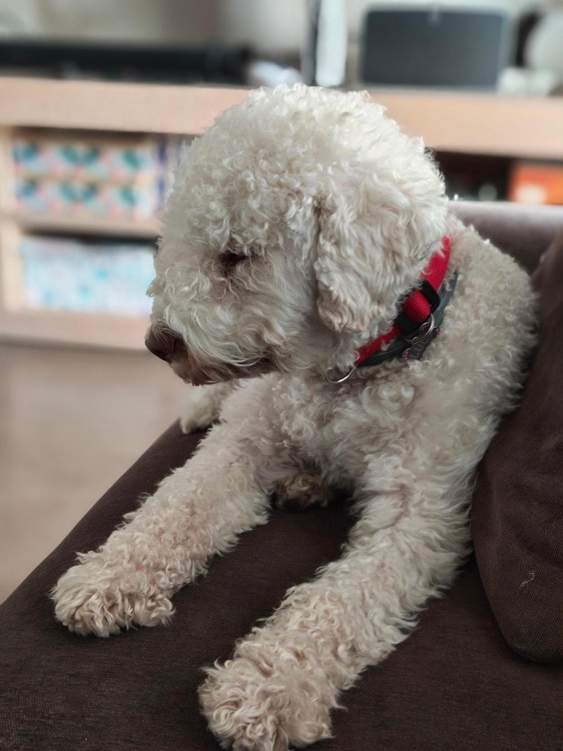 Hiçbir şey (4a) yanlısı değil, bunun kanıtı: tasarım hayret verici ama erdemi dengede