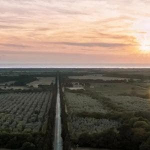 Anteprima Sassicaia 2023: a Bolgheri la nuova trilogia di Tenuta San Guido