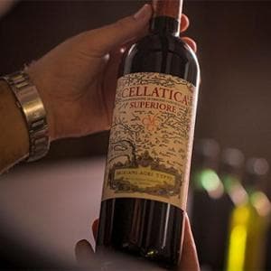 La cooperativa di piccoli vignaioli che tiene alta la bandiera di una Doc gloriosa