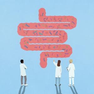 Sclerosi multipla: l’infiammazione viaggia dall’intestino al cervello?