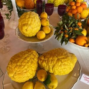 Agrumi rari sulle sponde del Lago Maggiore: così nasce Oramaro, nuovo volto degli amari piemontesi