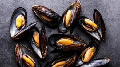 Quanto dura la protezione del vaccino contro l’epatite A?