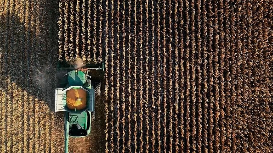 Produzione di cereali in Argentina (crediti: Francesco De Augustinis)