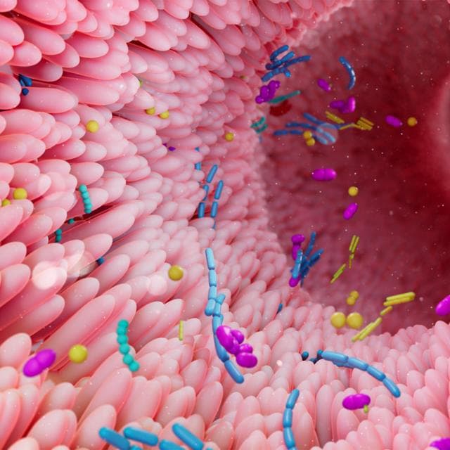 Batteri, funghi e virus influenzano la biologia del cancro. Ecco come studiarli