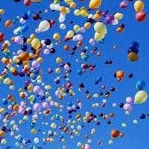 “Basta palloncini, la loro plastica trovata perfino nelle tartarughe marine”