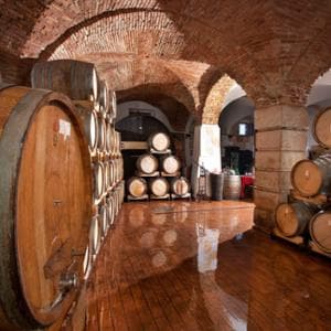 Memoria e precisione, il racconto del Garda in bottiglia aspettando Vinitaly