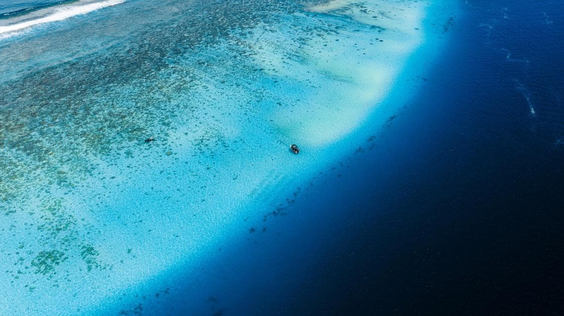(foto: Coral Gardeners)