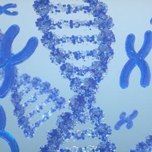 Trapianto di cromosomi, la nuova frontiera della terapia genica