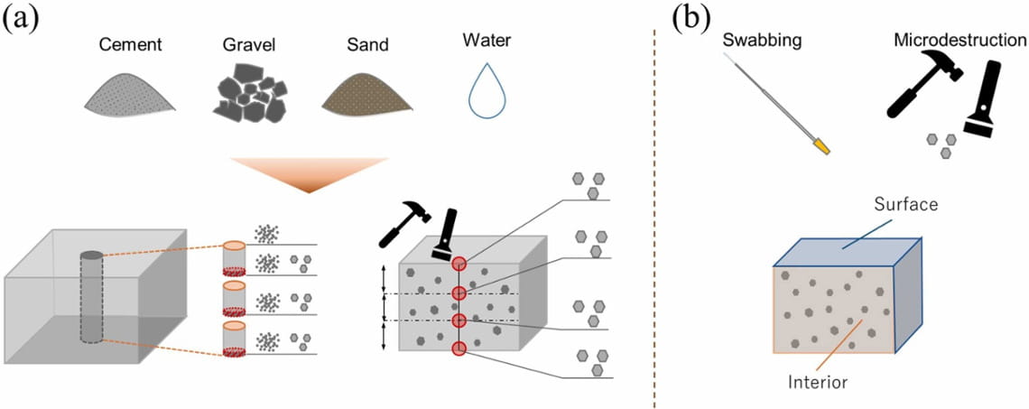Köprü ve otoyollardaki hasarı önceden tespit etmek için betondaki mikroplar