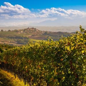 La cantina Ratti e la voglia di raccontare l’essenza del Barolo