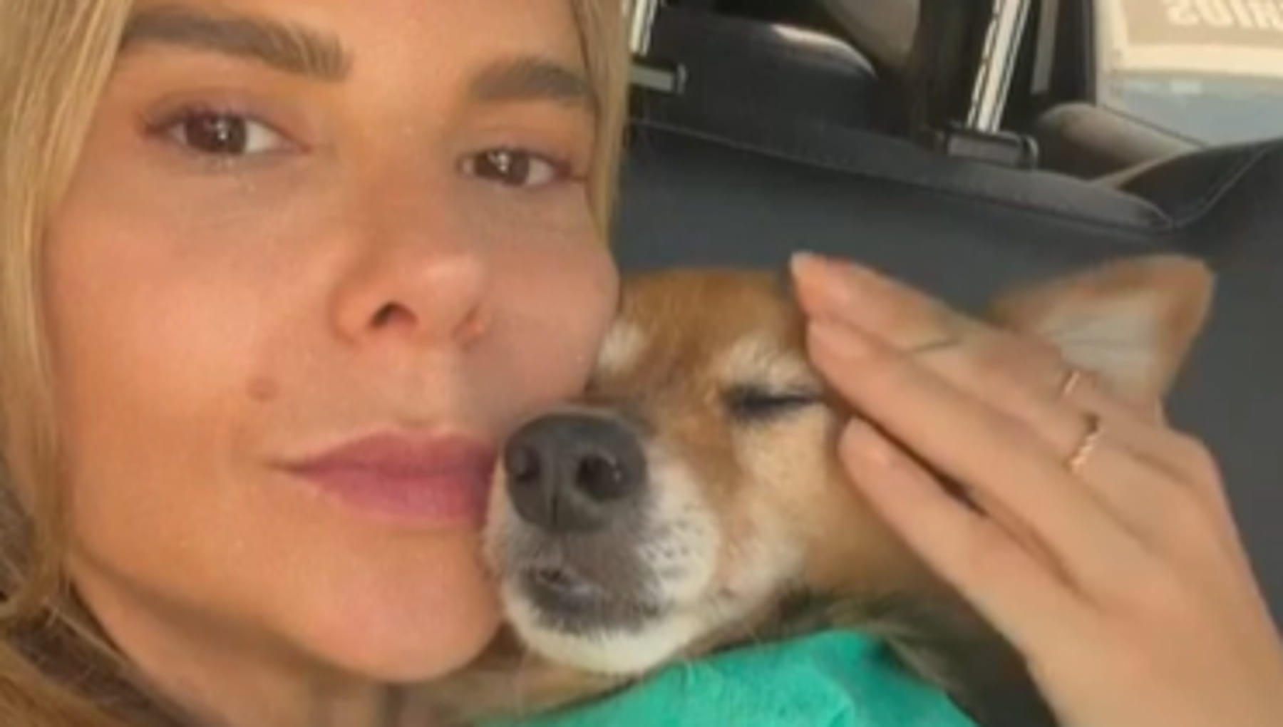 Il cane Coca ha perso una zampa per il cancro “ma tu sei ancora qui con ...