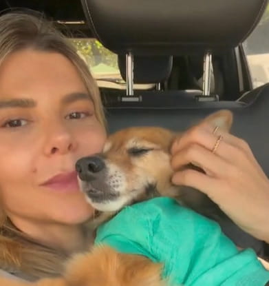 Il cane Coca ha perso una zampa per il cancro “ma tu sei ancora qui con ...