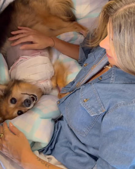 Il cane Coca ha perso una zampa per il cancro “ma tu sei ancora qui con ...