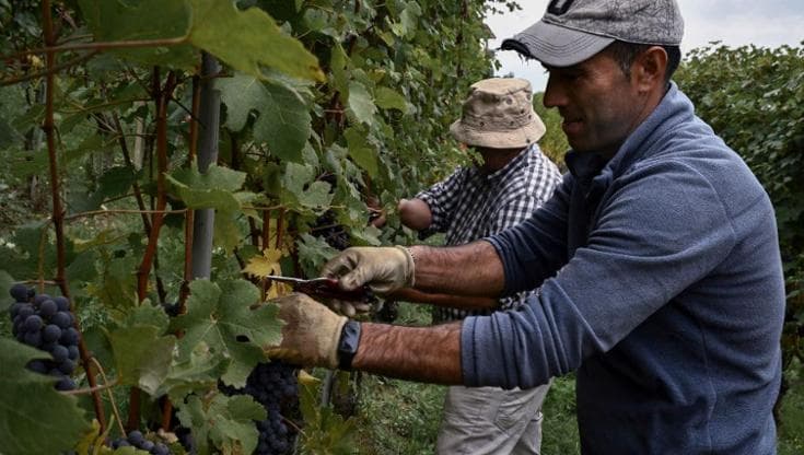 Crisi climatica, l’agroecologia come scelta consapevole
