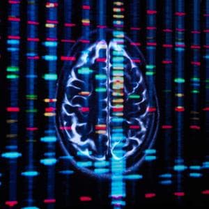 Cervello, l'espressione dei geni è diversa in uomini e donne