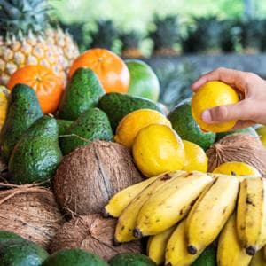 Tropici d’Italia, tra mango, papaya e avocado