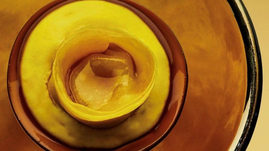 Il raviolo di Gong