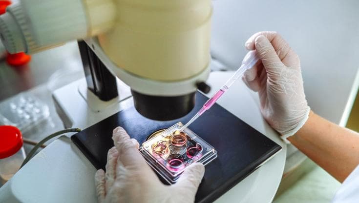 Un muscolo in miniatura per studiare la distrofia di Duchenne