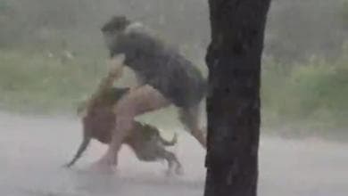 Sotto la pioggia per salvare un cane: il coraggio silenzioso di chi non volta le spalle