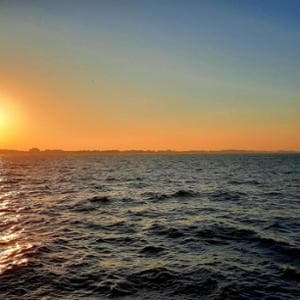 Copernicus: aprile 2026 il secondo più caldo per gli oceani, Pacifico da record