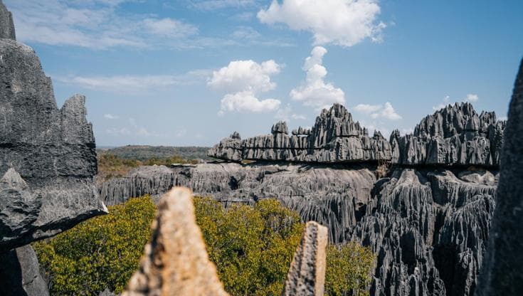 Tsingy de Bemaraha National Park in Madagascar (Foto Getty Images)