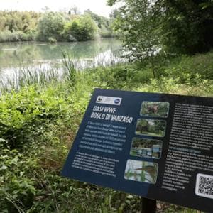 WWF İtalya, Doğayı savunmada 60 yıl: Vahalarda uzun bir kutlama