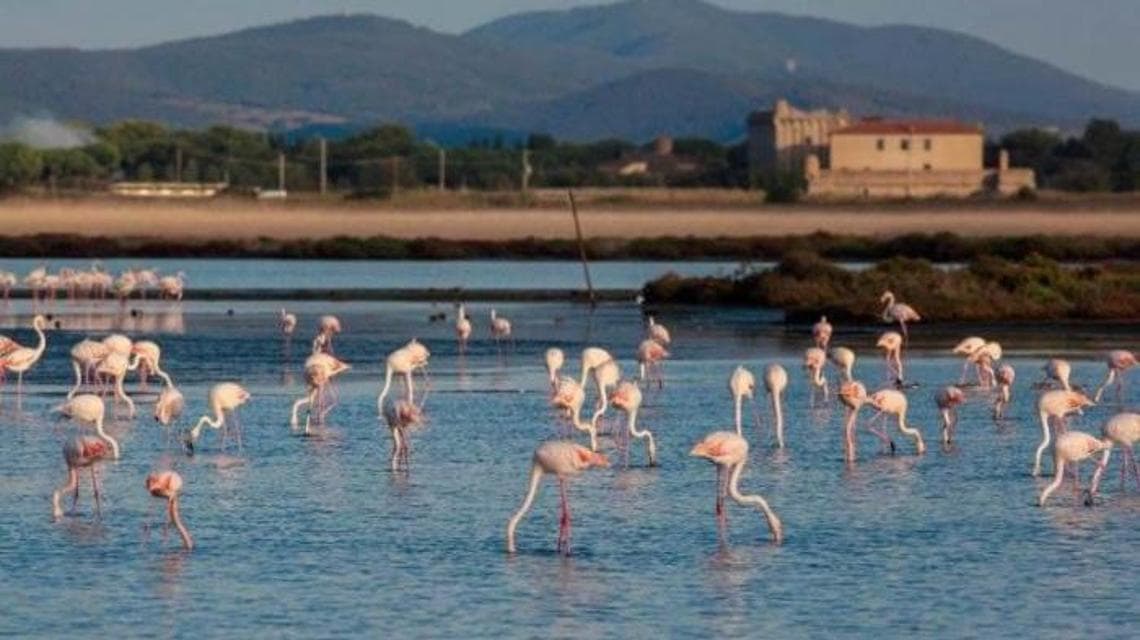 Orbetello Doğa Koruma Alanı