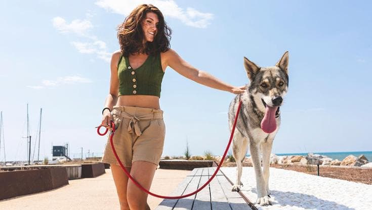 Quando il cane diventa un “personal trainer”: la nuova frontiera del ...