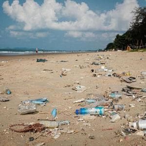 Kenevir incelenerek keşfedilen plastiğe bir alternatif