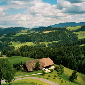 Dalla Svizzera, un archetipo di gusto per tutte le tavole