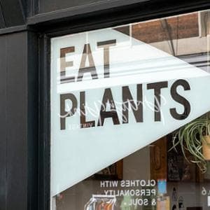 La dieta vegana è più sana e salvaguarda l’ambiente più di quella mediterranea