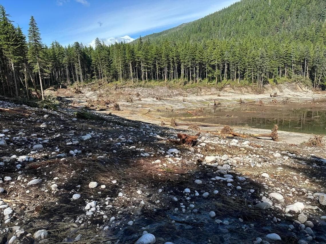Alaska'da 2025 mega tsunamisinin meydana geldiği bölgedeki Tongass Ulusal Ormanı (fotoğraf: USGS)
