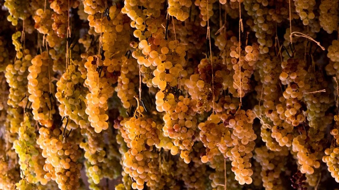 L'uva di Ciàn du Giorgi