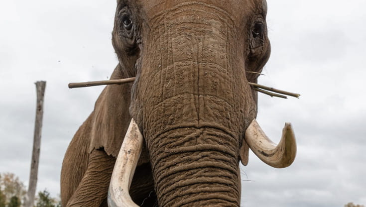 Kariba  (foto: GAIA)