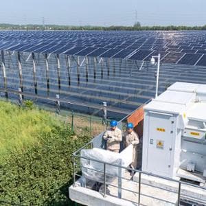 Yeşil paradoks: Ne kadar çok yenilenebilir enerji üretirsek değeri o kadar az olur