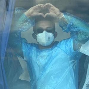 Hantavirus e Covid, le differenze tra i due patogeni e cosa deve preoccupare