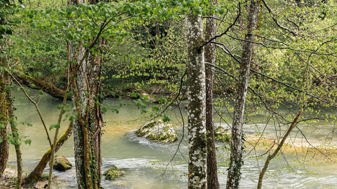 Silvo-pastoral alanların yeniden ağaçlandırılması ve Sangro nehri boyunca mikorizasyon (fotoğraf: FSC Italia)