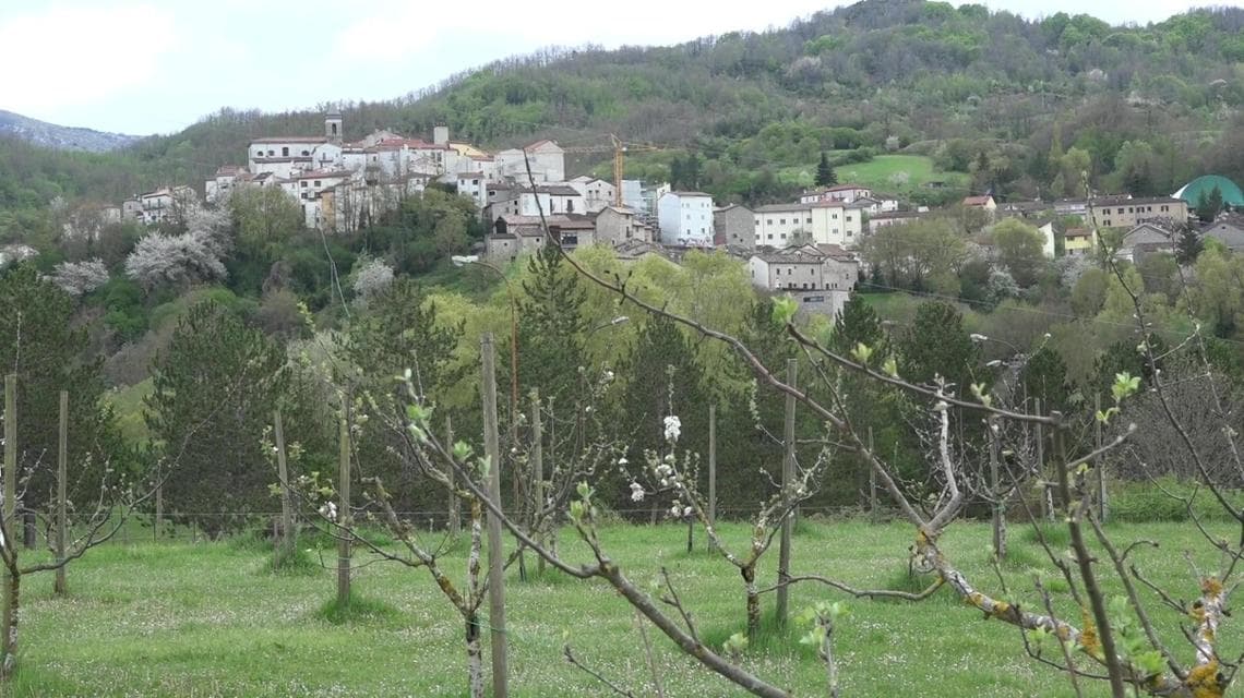 Melise'nin organik elma bahçesi (fotoğraf: FSC Italia)