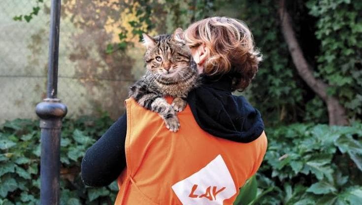 Al Salone del Libro di Torino il nuovo manuale Lav sui diritti degli animali