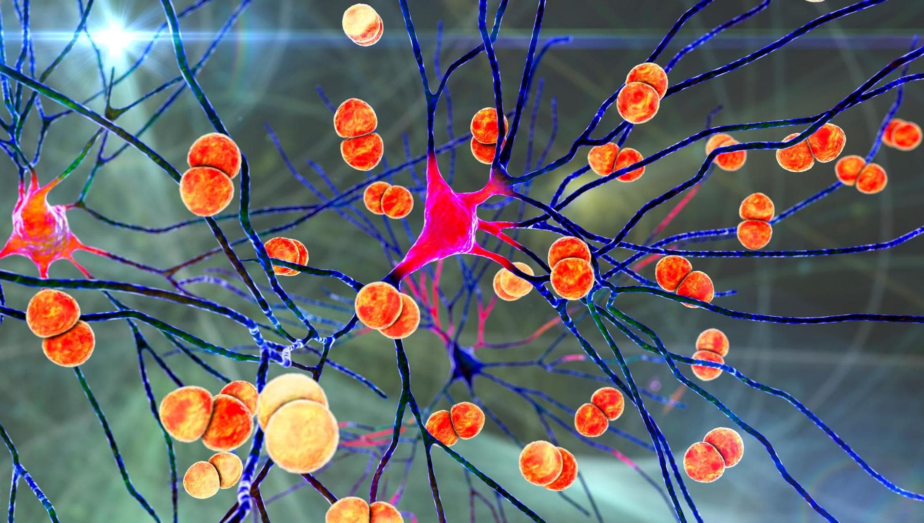 Meningite, che cosa bisogna sapere