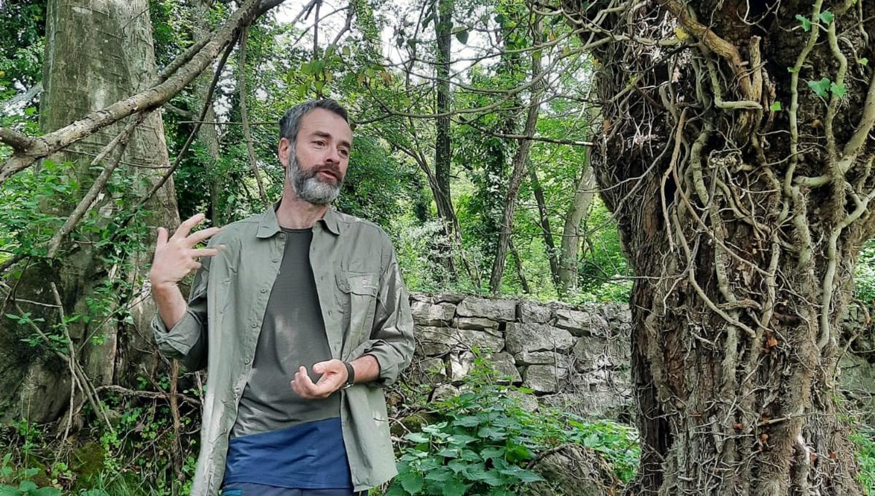 Nicola Bressi: “Böcekleri sevmiyoruz ama onlara güveniyoruz”
