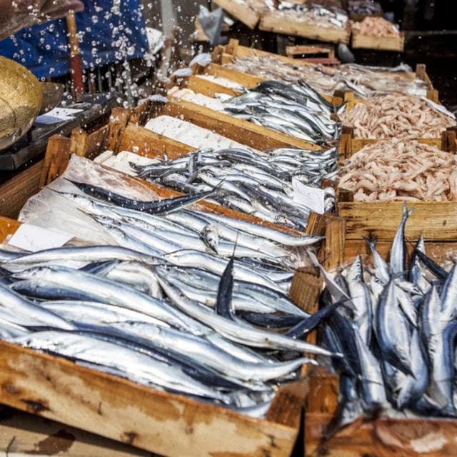 Tiroide, giornata mondiale: cosa mangiare (e cosa limitare) per tenerla in salute